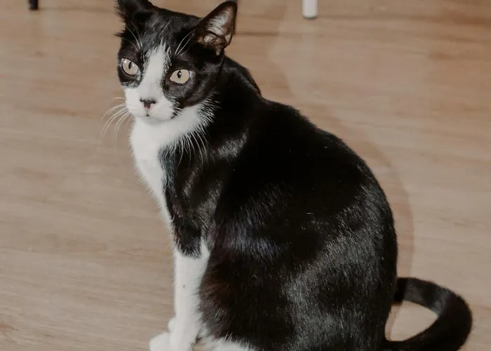 Хостел Rostelbem