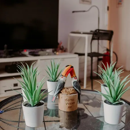 Rostelbem بيت شباب *