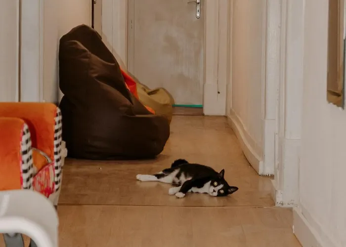 Rostelbem بيت شباب *